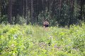 Estafette 2013 - onderweg - 428